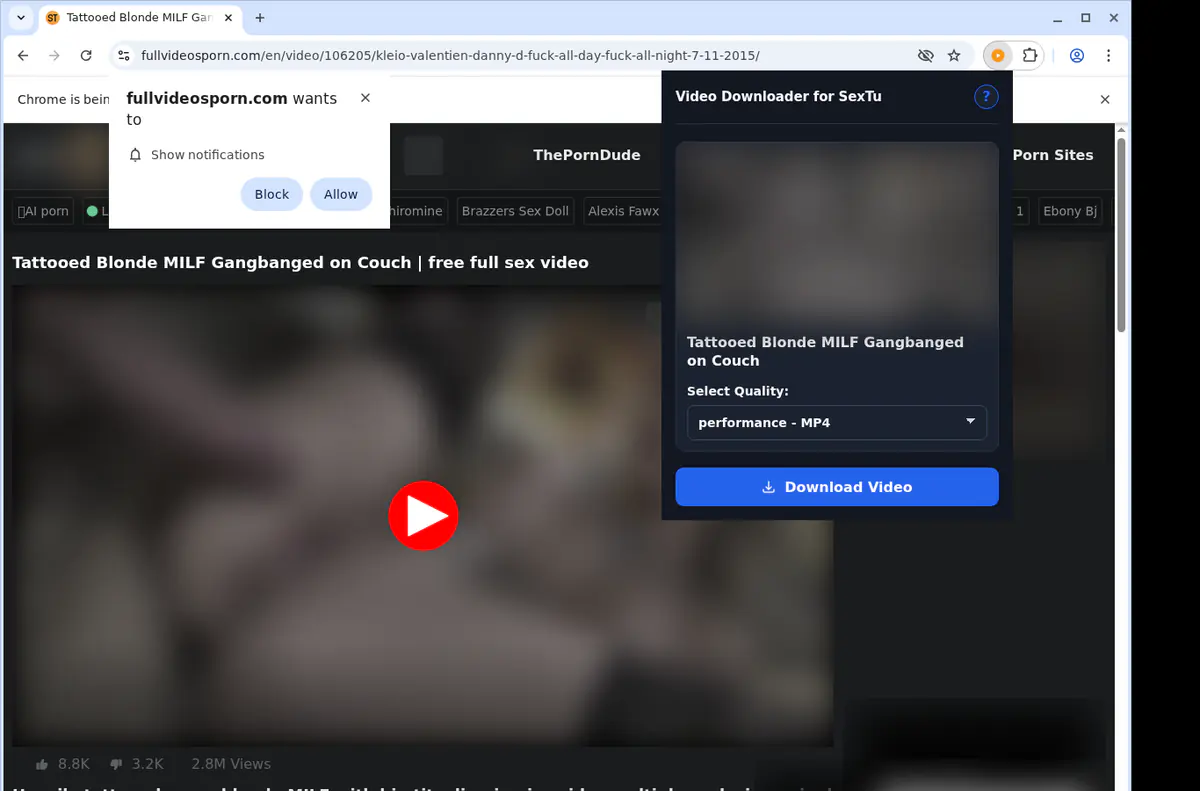 Sextu Video Downloader browser extension screenshot 3